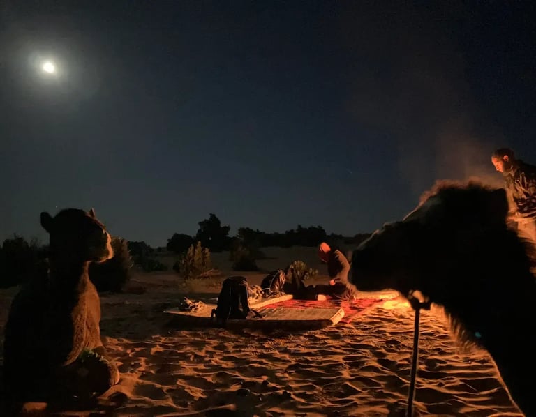 Silhouette of two camel heads with campfire and travellers on Sahara Plus trek