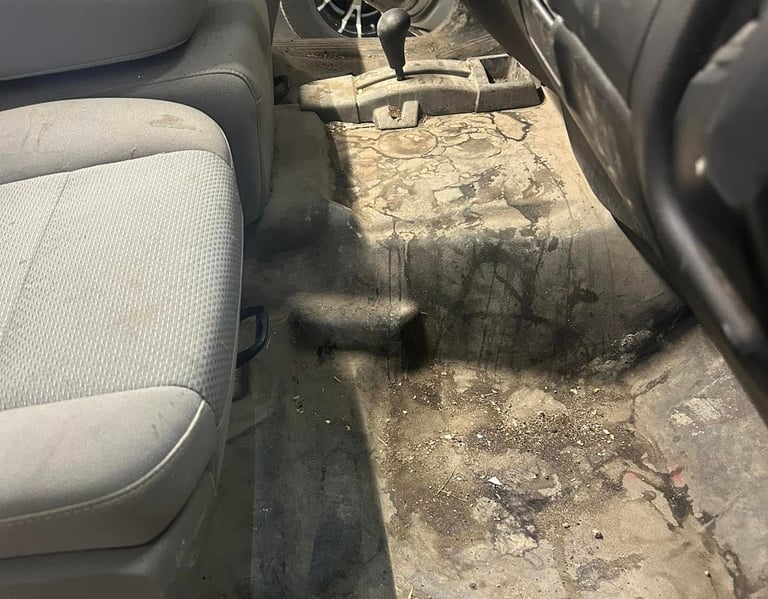 top detailing for my interior near me 