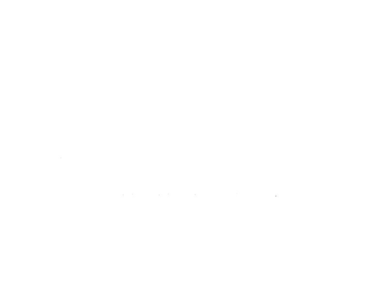 True Moments Foto