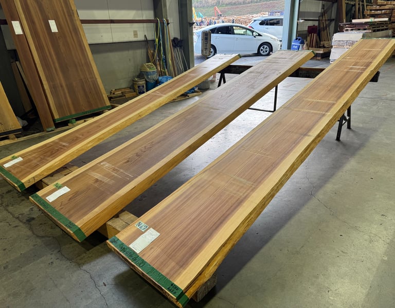 Three long, natural edge raw wood lumber planks displayed on sawhorses in a woodworking workshop.