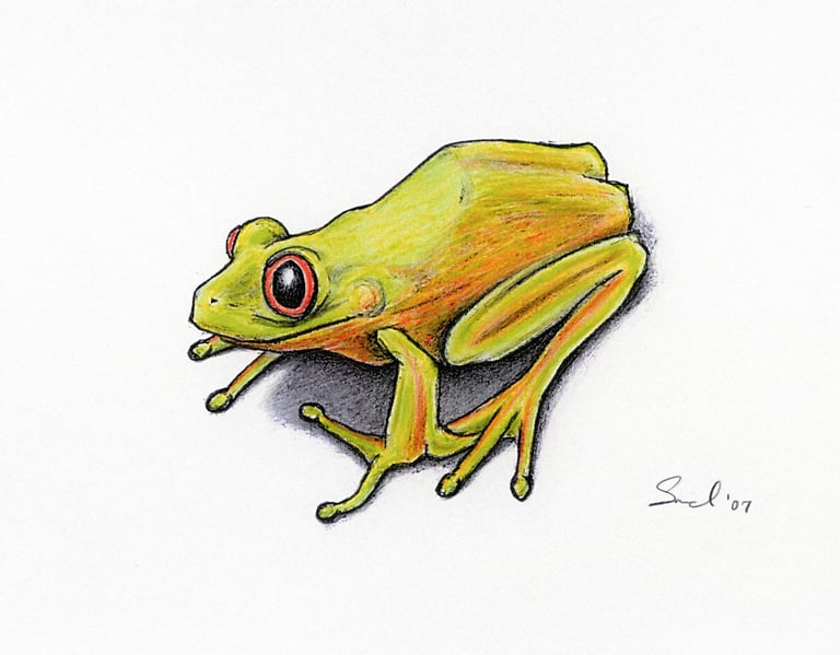 Frog Tattoo: Colored Pencil on Paper, 2007