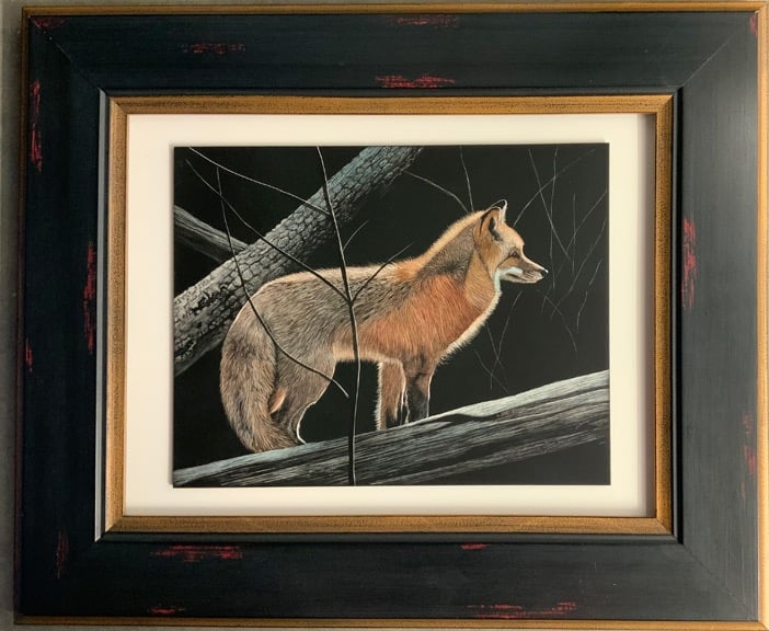 Scratchboard art of a red fox in autunm,