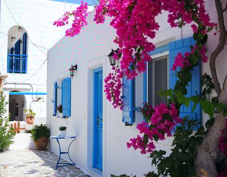 Nei siti, l'estetica conta