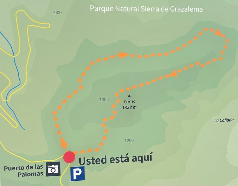 trail Sendero Cerro Coros in Grazalema, Puerto de las Palomas