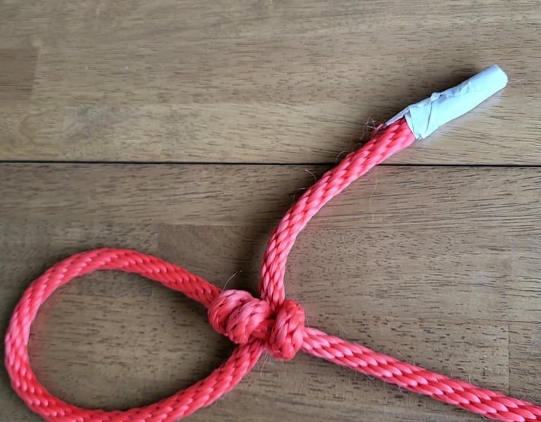 Tautline hitch showing wrap structure