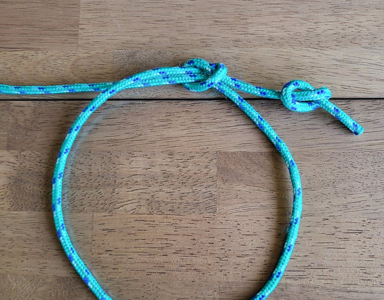 An untightened Arbor knot, showing the dual overhand stopper knot structure