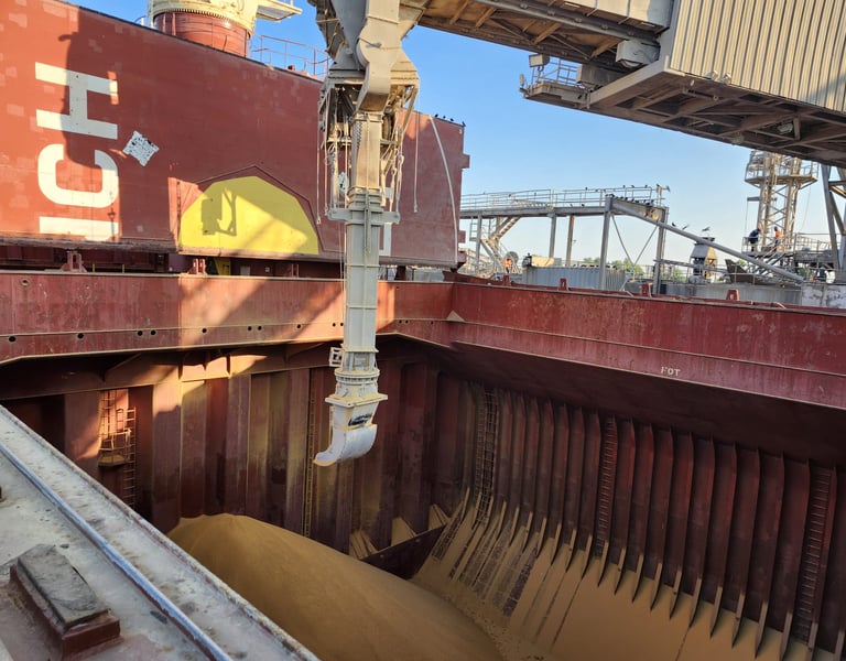 Marine Surveying & Asset Evaluation