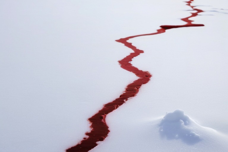 rio de sangre en la nieve