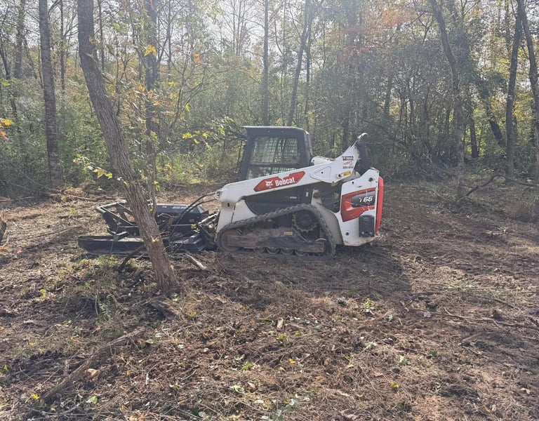 bobcat T66 clearing land
