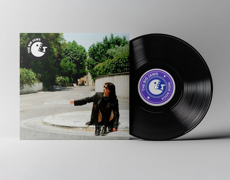Pochette album vinyle groupe Rock