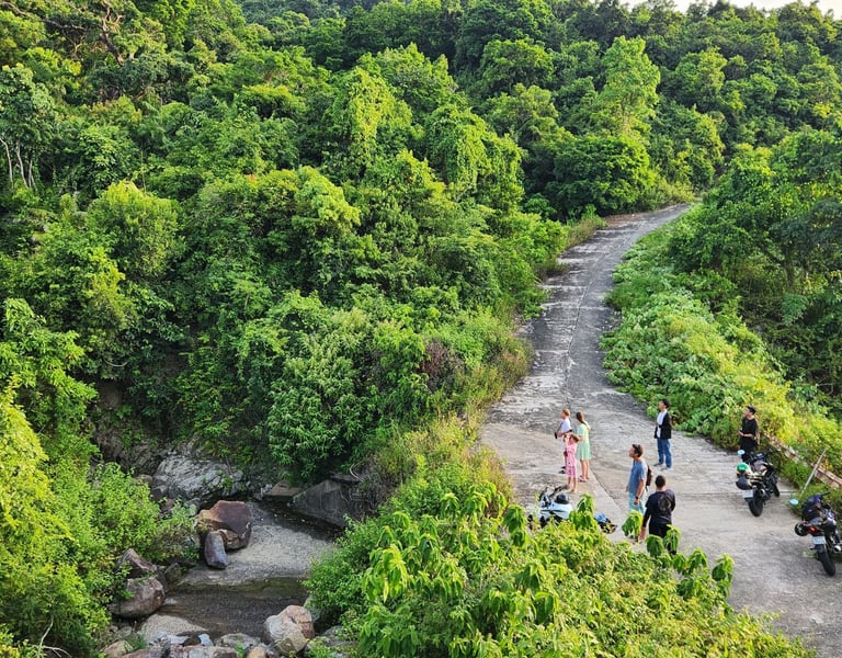Customers enjoy watching langur with beautiful landscape on Son Tra. Da Nang.
