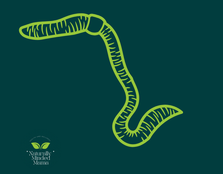 a worm