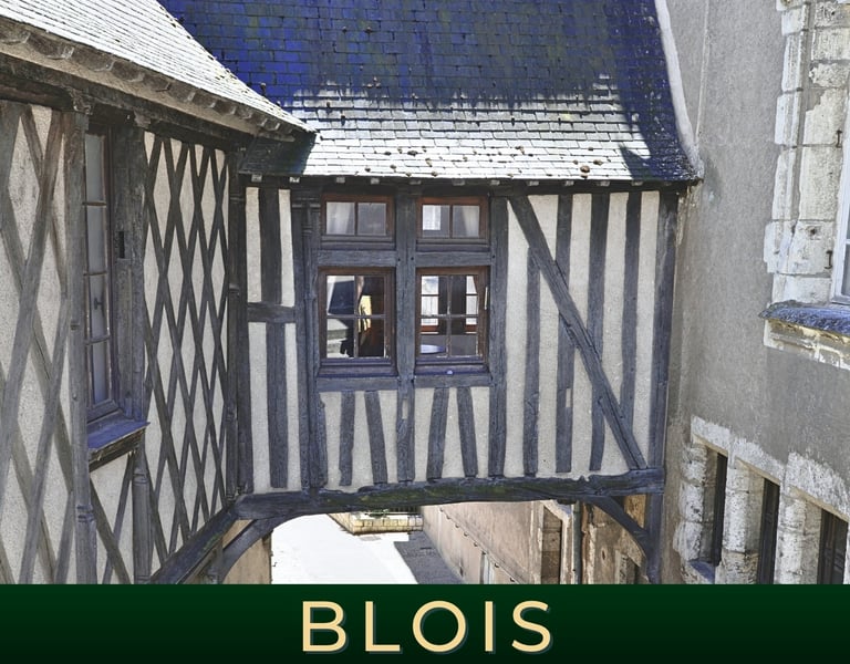 Visite le vieux Blois