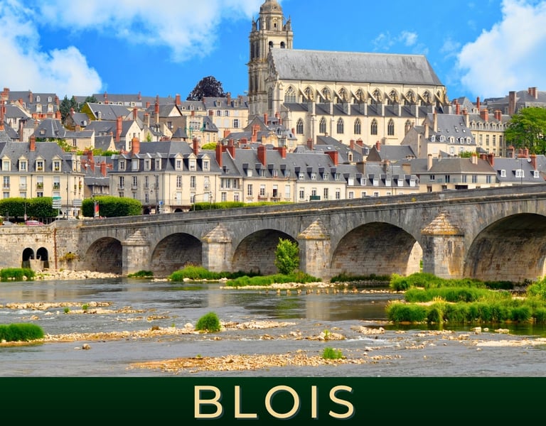 Visite cathédrale Saint-Louis à Blois