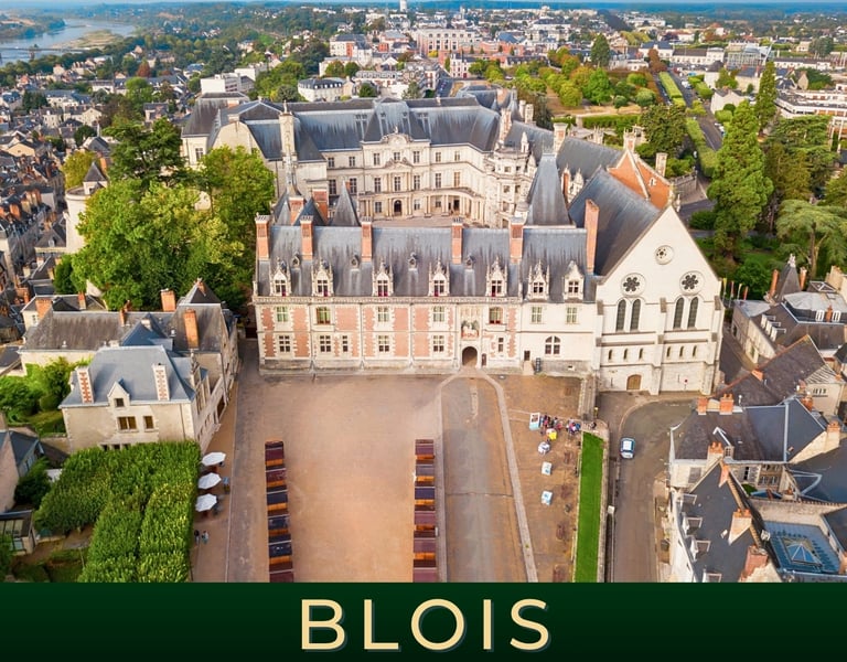 Visite Château Royal de Blois