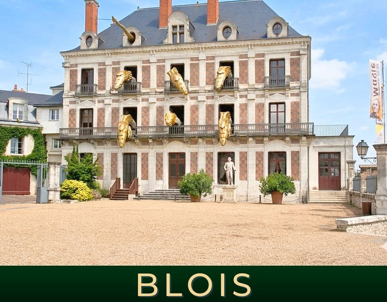 Visite maison de la magie à Blois