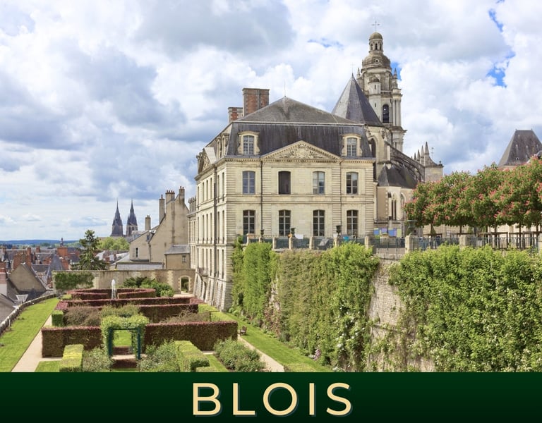 Visite les jardins de l'Evêché et la roseraie