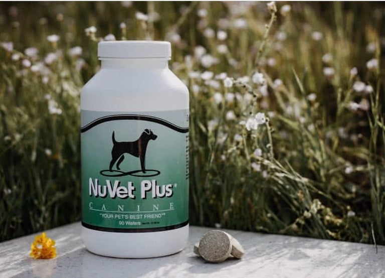 NUVET PLUS TITANIUM KILO KENNELS