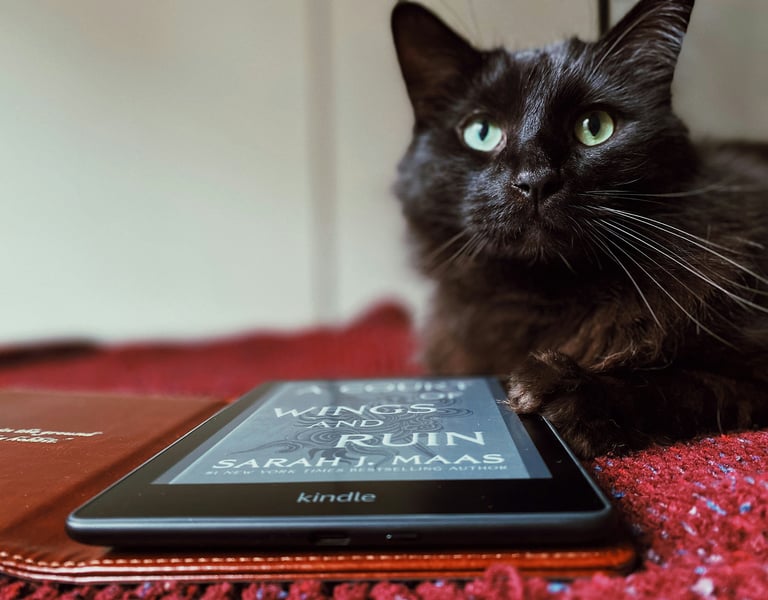 Gato negro sentado frente un dispositivo kindle