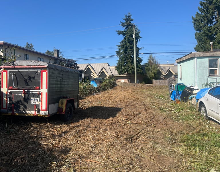 Property after blackberry bushes have been removed