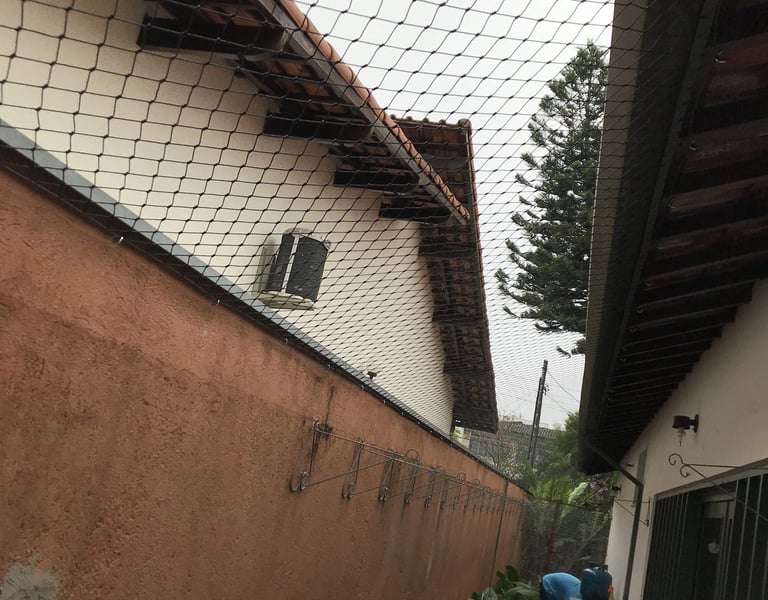 Gato seguro em janela com rede de proteção malha 5x5 instalada em São Paulo