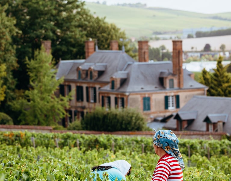 Chateau de la Marquetterie Taittinger