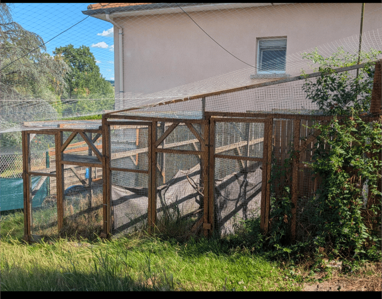 jardin chat nancy