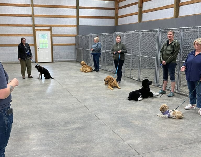 Dog training classes in North Idaho. Offering beginner, intermediate and board + train if necessary.