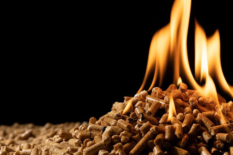 Biomass Pellets