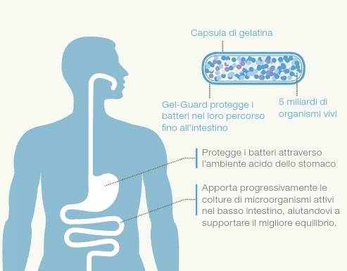 integratore di probiotici
