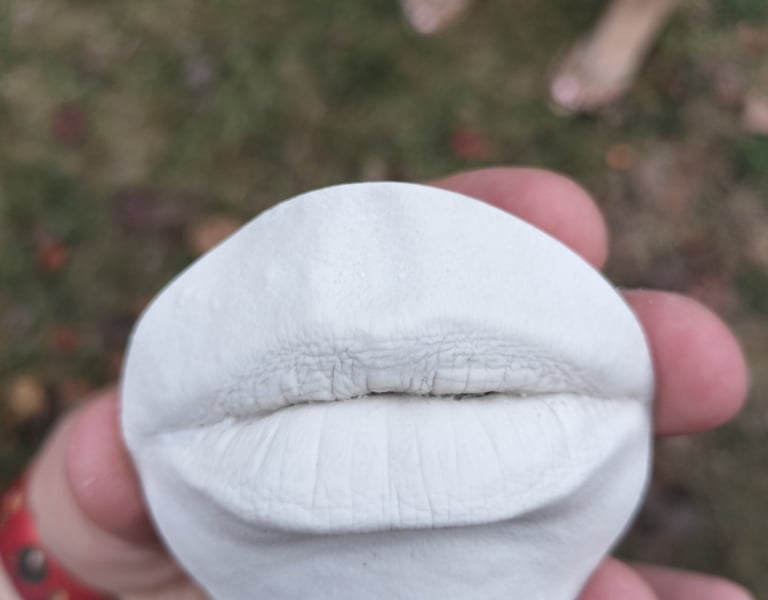 Moulage en plâtre bouche  - Moulage intime Bordeaux