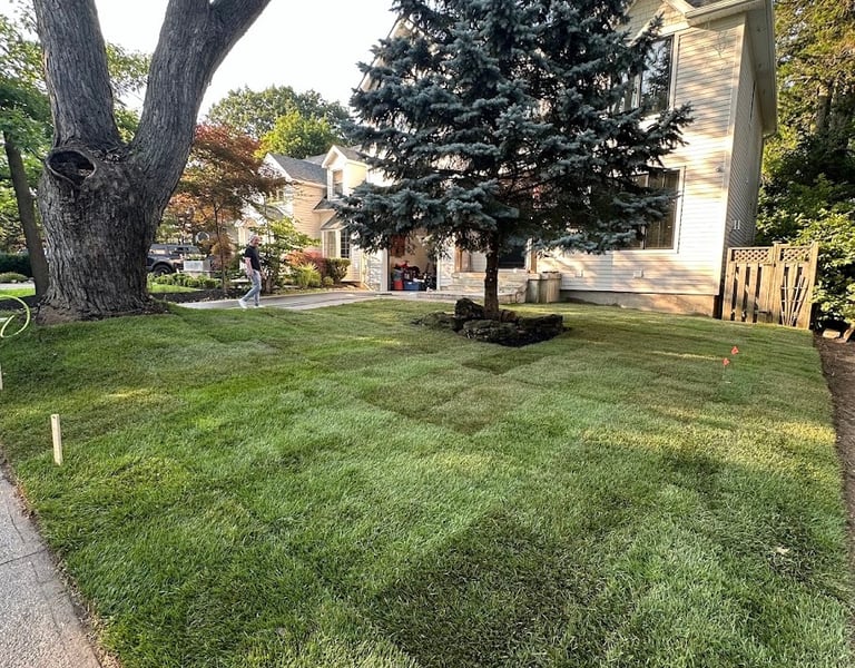 Completed sod installation with a clean finished lawn