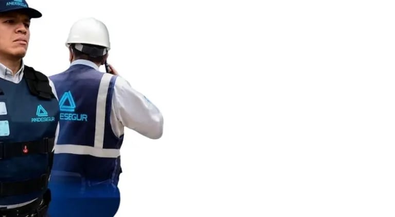 Empresas de Seguridad y Vigilancia - Andesegur