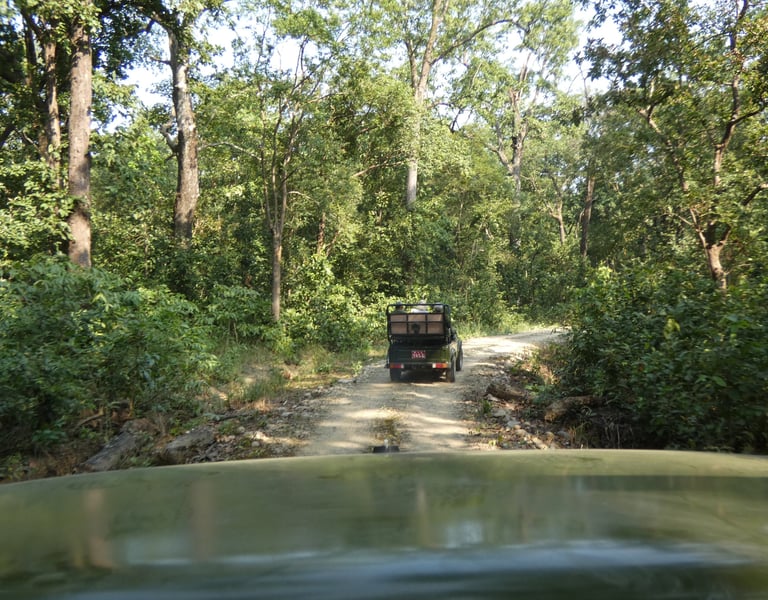 jeep safari in Bardiya