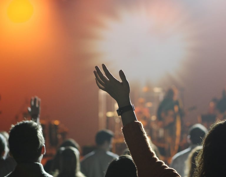 Fans in a crowd at music show