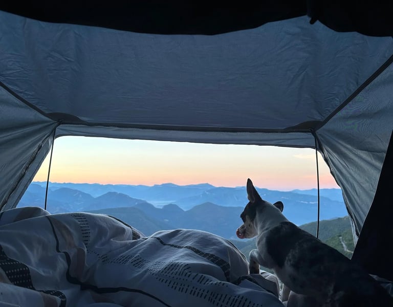 Un petit chien admire un magnifique lever de soleil sur les montagnes depuis l'intérieur d'une tente