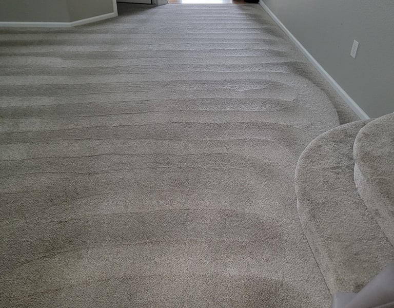 Beautiful Clean grey carpet, Spotless, when using King Organic Clean