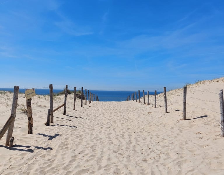 Aussicht auf die Küste von Zandvoort, Holland