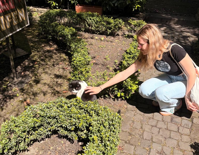 Im Katzenkabinett von Amsterdam, Holland