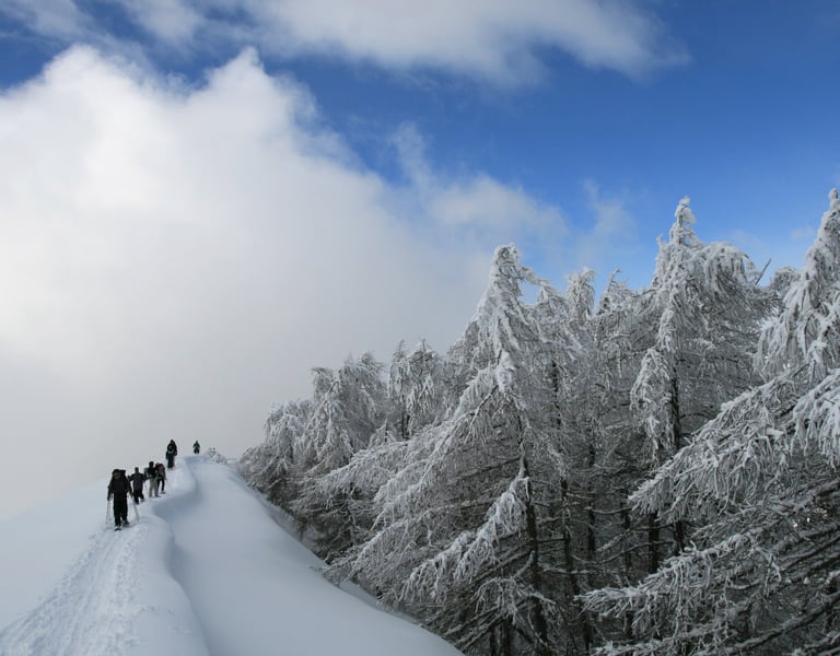 Raquettistes à la pointe des trois communes