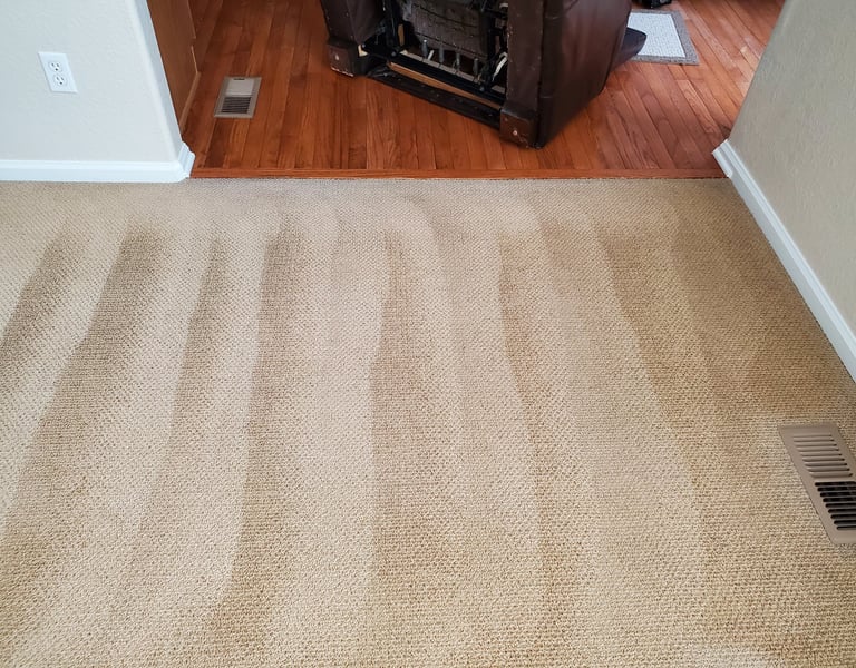 Beautiful Freshly Cleaned Carpet when using King Organic Clean