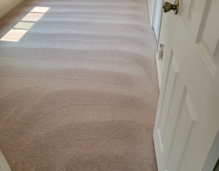 Beautiful, Spotless, Carpet when using King Organic Clean