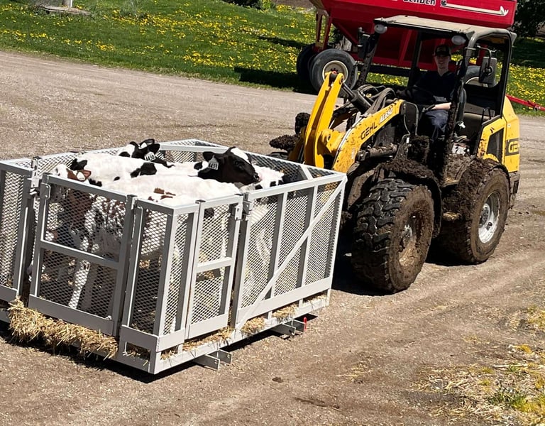 custom man basket work platform being used on a farm to transport calves