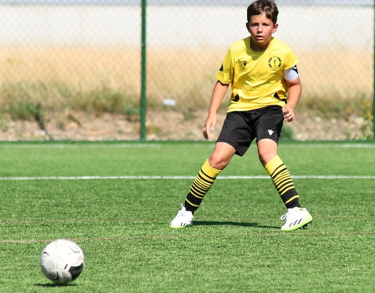 Asimilare - Start Suceava