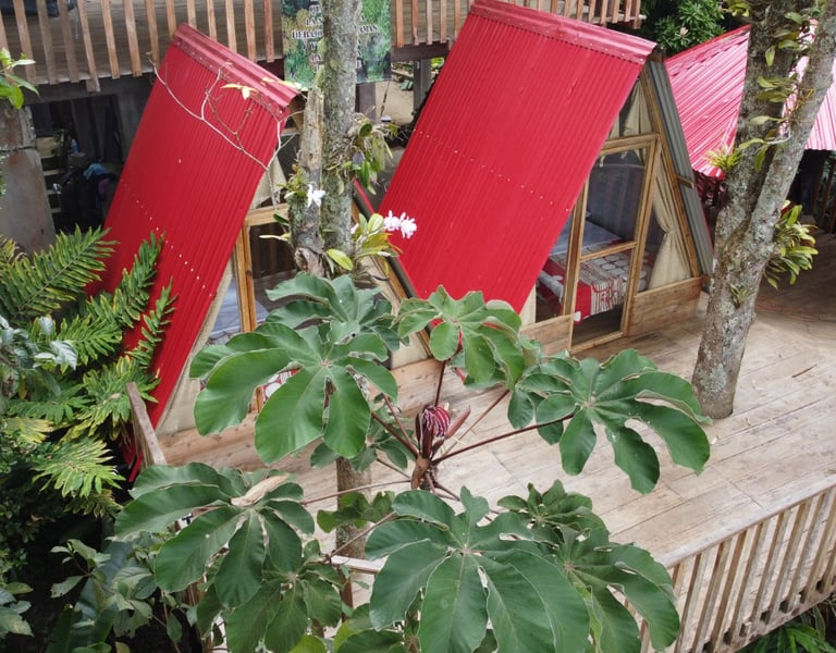 Bosque húmedo y sendero ecológico en la Reserva El Vergel Anzoátegui