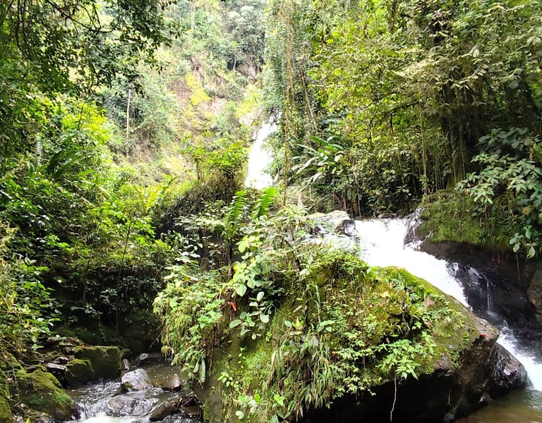 Corriente del río que conduce a la Cascada Alejandra