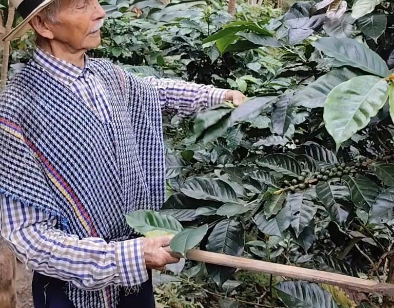 Familia campesina de Anzoátegui en entorno rural de montaña