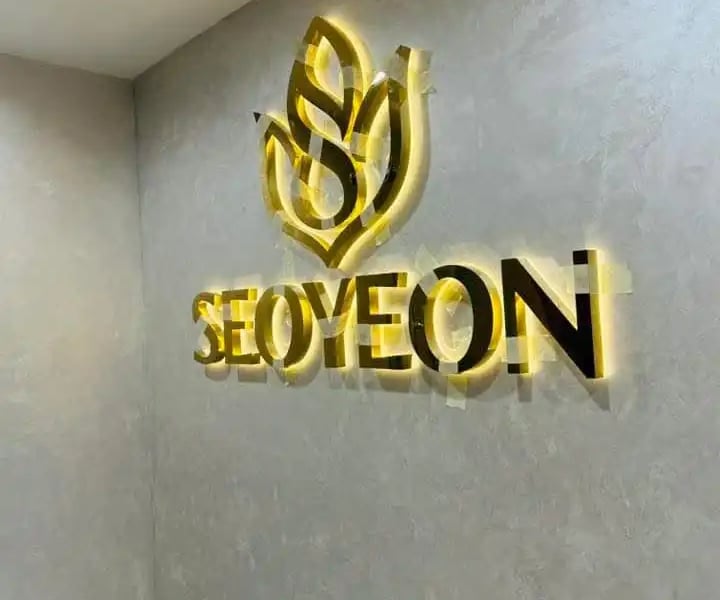 Gold Brushed Metal 3D Led back light signage of seoyeon
