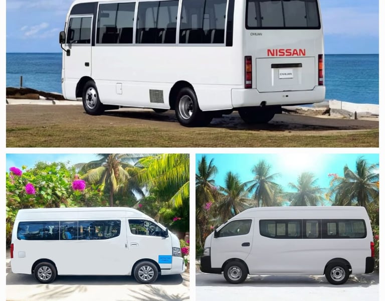 Transport Serviced for Rodrigues