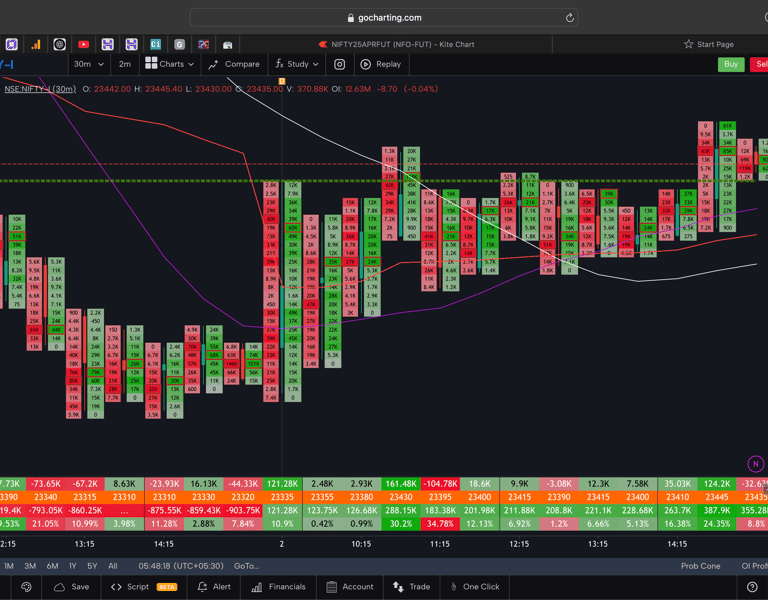 Nifty 50 Future - 30 Minutes Timeframe  order-flow Chart Showing Market Trends  for Today Market 